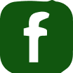 La Nouvelle Garde - Facebook vert campion